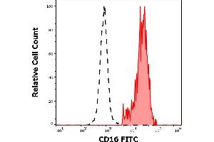 Separation of human CD16 positive CD3 negative lymphocytes (red-filled) from CD16 negative CD3 positive lymphocytes (black-dashed) in flow cytometry analysis (surface staining) of human peripheral whole blood stained using anti-human CD16 (3G8) FITC antibody (4 μL reagent / 100 μL of peripheral whole blood). (CD16 抗体  (FITC))