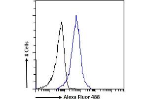 Flow Cytometry (FACS) image for anti-Angiotensin I Converting Enzyme 2 (ACE2) (N-Term) antibody (ABIN7505816)