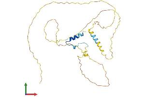 Protein Structure (PS) image for Ermin, ERM-Like Protein (ERMN) (AA 1-284) protein (His tag) (ABIN7547354)