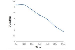 Antigen: 0. (PABP 抗体  (meArg455, meArg460))