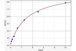 BCL10 ELISA 试剂盒