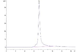 Size-exclusion chromatography-High Pressure Liquid Chromatography (SEC-HPLC) image for Lymphocyte Antigen 75 (LY75) (AA 28-1667) protein (His tag) (ABIN7275222)