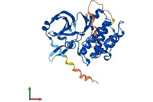 AlphaFold protein structure predicition of Human Recombinant PIM2 Protein, UniprotID Q9P1W9