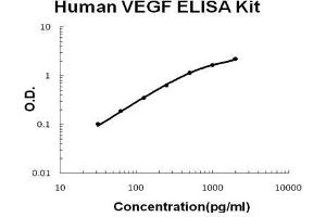 Human VEGF PicoKine ELISA Kit standard curve (VEGF ELISA 试剂盒)