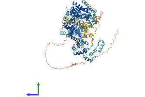 Protein Structure (PS) image for SWI/SNF Related, Matrix Associated, Actin Dependent Regulator of Chromatin, Subfamily A, Member 1 (SMARCA1) (AA 1-1054) protein (His tag) (ABIN7555526)