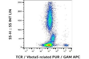 Flow cytometry analysis (surface staining) of human peripheral blood cells with anti-human TCR Vbeta5.