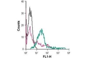 Cell surface detection of Ephrin-A2 in live intact human Jurkat T-cell leukemia cells: (black line) Cells. (Ephrin A2 抗体  (Extracellular))