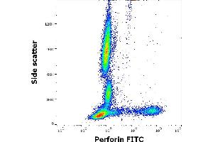 Flow cytometry intracellular staining pattern of human peripheral whole blood stained using anti-human Perforin (dG9) FITC antibody (4 μL reagent / 100 μL of peripheral whole blood). (Perforin 1 抗体  (FITC))