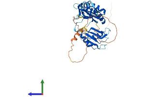 AlphaFold protein structure predicition of Human Recombinant ELAVL2 Protein, UniprotID Q12926