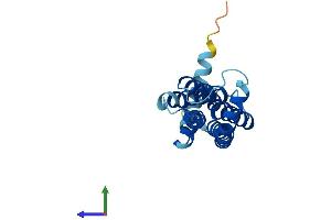 AlphaFold protein structure predicition of Mouse Recombinant Tmem126a Protein, UniprotID Q9D8Y1