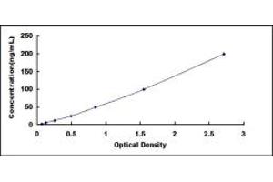 Typical standard curve (C3 ELISA 试剂盒)