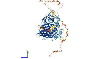 Protein Structure (PS) image for Growth Factor Receptor-Bound Protein 7 (GRB7) (AA 1-532) protein (His tag) (ABIN7554042)