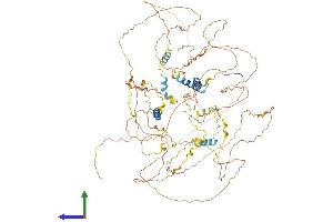 AlphaFold protein structure predicition of Mouse Recombinant Synpo Protein, UniprotID Q8CC35