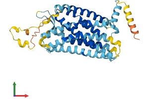 Protein Structure (PS) image for Chemokine (C-X-C Motif) Receptor 1 (CXCR1) (AA 1-351) protein (His tag) (ABIN7558481)