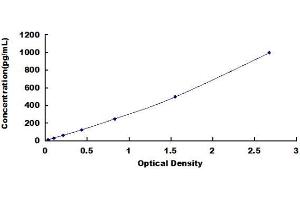 Typical standard curve (GPC4 ELISA 试剂盒)