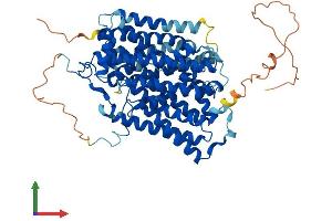 Protein Structure (PS) image for Solute Carrier Family 5 (Sodium/iodide Cotransporter), Member 5 (SLC5A5) (AA 1-618) protein (His tag) (ABIN7560464)