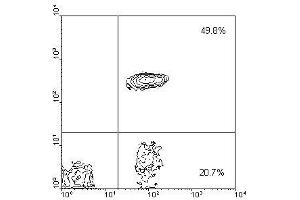 Image no. 1 for anti-CD4 (CD4) antibody (PE) (ABIN135511) (CD4 抗体  (PE))