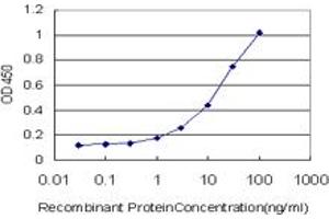 Detection limit for recombinant GST tagged ADCY2 is approximately 1ng/ml as a capture antibody. (ADCY2 抗体  (AA 977-1086))
