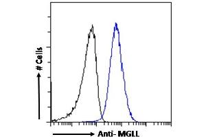 Flow Cytometry (FACS) image for anti-Monoglyceride Lipase (MGLL) (Internal Region) antibody (ABIN334436)