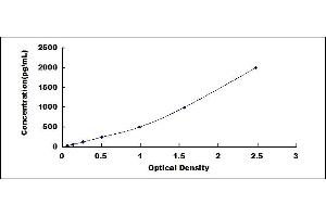 Typical standard curve (CXCR2 ELISA 试剂盒)