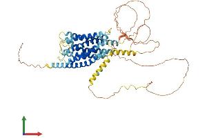 Protein Structure (PS) image for G Protein-Coupled Receptor 75 (GPR75) (AA 1-540) protein (His tag) (ABIN7554050)