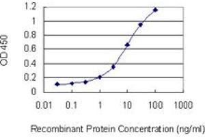 Detection limit for recombinant GST tagged AAMP is 0. (AAMP 抗体  (AA 111-210))