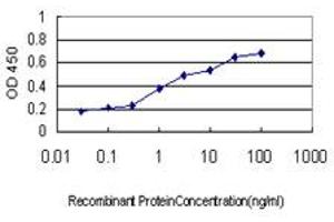 Detection limit for recombinant GST tagged NANS is approximately 0. (NANS 抗体  (AA 260-359))