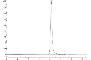 The purity of Cynomolgus TLR3 is greater than 95 % as determined by SEC-HPLC. (TLR3 Protein (AA 31-711) (His tag))