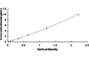 Typical standard curve (ODC1 ELISA 试剂盒)