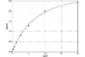 A typical standard curve (GRP78 ELISA 试剂盒)