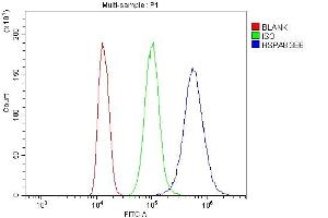 Flow Cytometry analysis of K562 cells using anti- Hsc70 antibody (ABIN7601962). (Hsc70 抗体  (AA 520-614))
