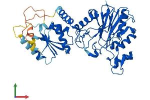 AlphaFold protein structure predicition of Mouse Recombinant Lacc1 Protein, UniprotID Q8BZT9