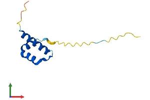 Protein Structure (PS) image for Catenin, beta Interacting Protein 1 (CTNNBIP1) (AA 1-81) protein (Fc Tag) (ABIN7546601)