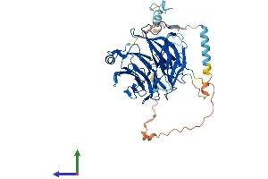 AlphaFold protein structure predicition of Human Recombinant PWP1 Protein, UniprotID Q13610