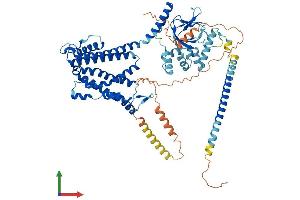 Protein Structure (PS) image for Cyclic Nucleotide Gated Channel alpha 1 (CNGA1) (AA 1-684) protein (His tag) (ABIN7563078)
