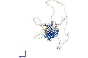 Protein Structure (PS) image for Male Germ Cell-Associated Kinase (MAK) (AA 1-623) protein (His tag) (ABIN7554524)