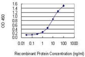 Detection limit for recombinant GST tagged CD84 is 0. (CD84 抗体  (AA 22-121))