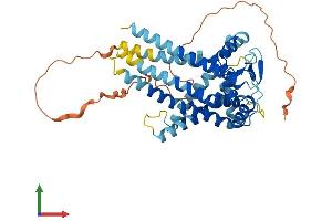 Protein Structure (PS) image for Solute Carrier Family 25, Member 46 (SLC25A46) (AA 1-418) protein (His tag) (ABIN7560571)