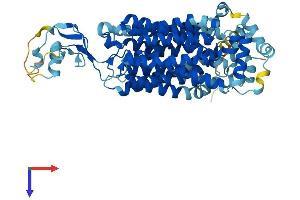 AlphaFold protein structure predicition of Mouse Recombinant Slc22a27 Protein, UniprotID Q76M72 (Slc22a27 Protein (AA 1-551) (His tag))