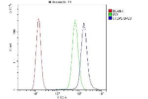 Flow Cytometry analysis of A431 cells using anti-CTBP2 antibody (ABIN3042768). (CTBP2 抗体  (AA 321-445))
