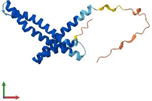AlphaFold protein structure predicition of Mouse Recombinant Timm17b Protein, UniprotID Q9Z0V7