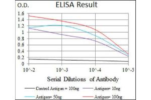 ELISA image for anti-BPI Fold Containing Family A, Member 2 (BPIFA2) (AA 16-250) antibody (ABIN1845120)