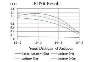 Black line: Control Antigen (100 ng), Purple line: Antigen(10 ng), Blue line: Antigen (50 ng), Red line: Antigen (100 ng), (CD7 抗体  (AA 72-175))