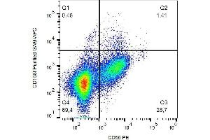 Flow Cytometry (FACS) image for anti-Killer Cell Immunoglobulin-Like Receptor, Two Domains, Long Cytoplasmic Tail, 5A (KIR2DL5A) antibody (ABIN3036751)
