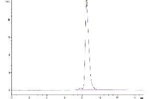 The purity of Human ENPP-3(558-875) is greater than 95 % as determined by SEC-HPLC. (ENPP3 Protein (AA 558-875) (His tag))