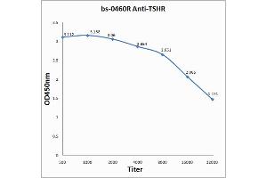 Antigen: 0. (TSH receptor 抗体  (AA 501-600))
