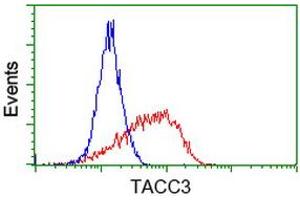 Flow cytometric Analysis of Jurkat cells, using anti-TACC3 antibody (ABIN2453706), (Red), compared to a nonspecific negative control antibody (ABIN2453706), (Blue). (TACC3 抗体)
