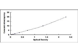 Typical standard curve (COL10 ELISA 试剂盒)