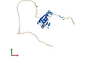 Protein Structure (PS) image for Chromosome 7 Open Reading Frame 30 (C7orf30) (AA 1-228) protein (His tag) (ABIN7560688)