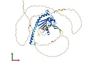 Protein Structure (PS) image for Nucleosome Assembly Protein 1-Like 3 (NAP1L3) (AA 1-506) protein (His tag) (ABIN7549950)